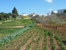 Apulia